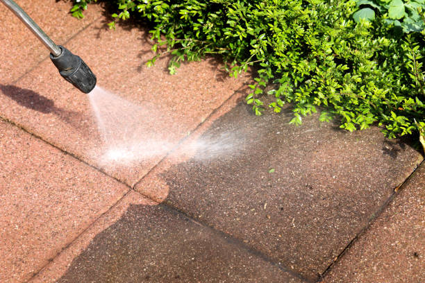 Best Exterior Home Cleaning  in Maquoketa, IA